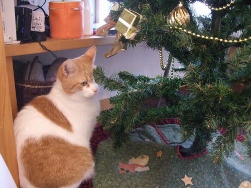 クリスマス