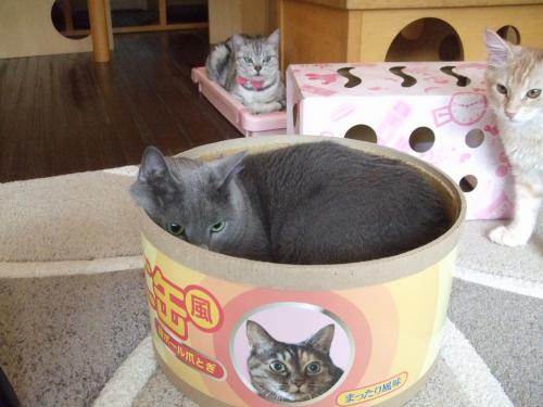 襲われる