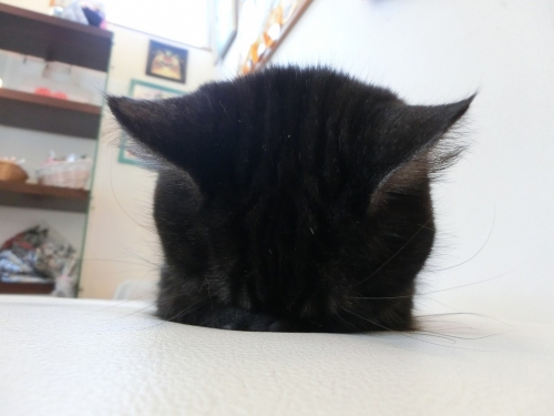 しんねん