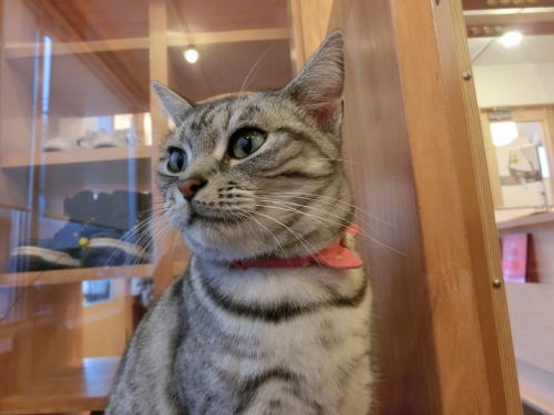 おおみそか