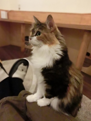 おおみそか