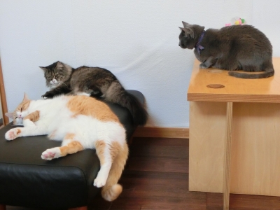 男前の会