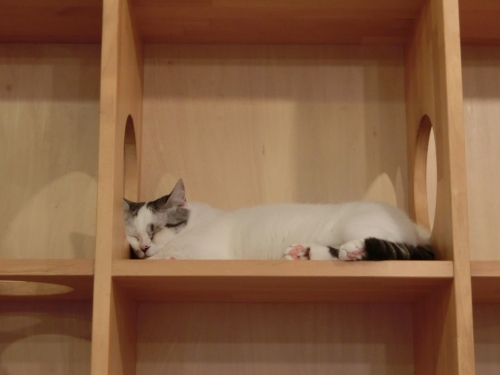 おおみそか