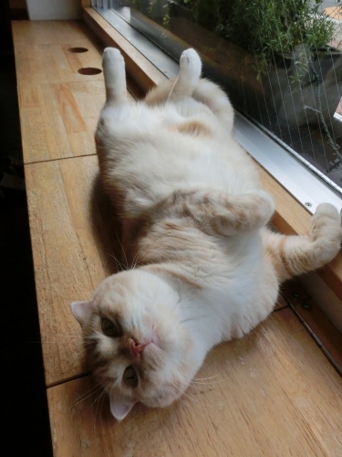おおみそか