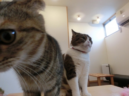 しんねん2