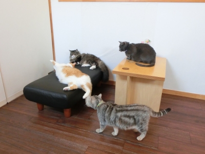 男前の会