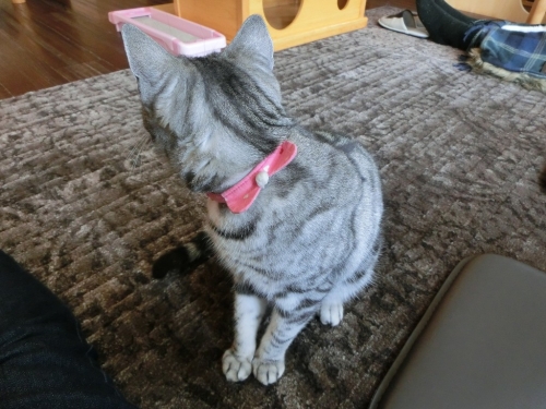 角度