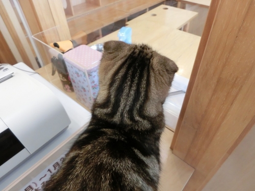 しんねん2