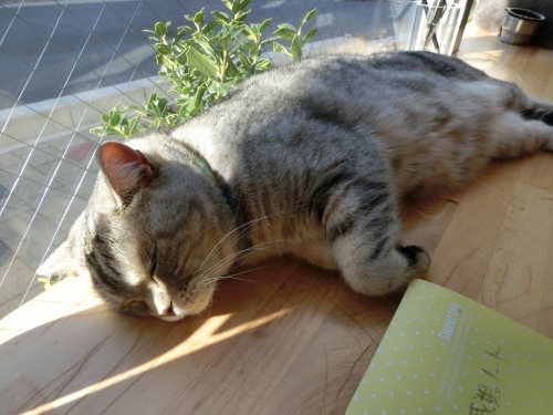 レオ