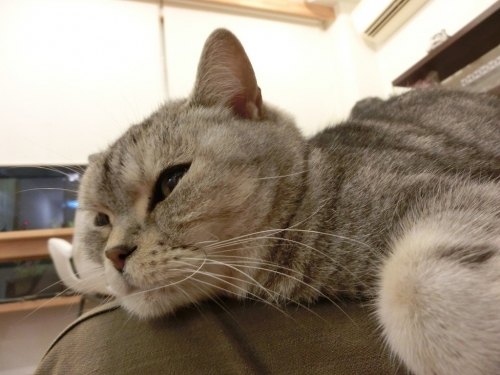 しんねん2