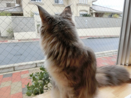 しんねん2
