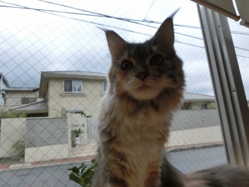 しんねん2