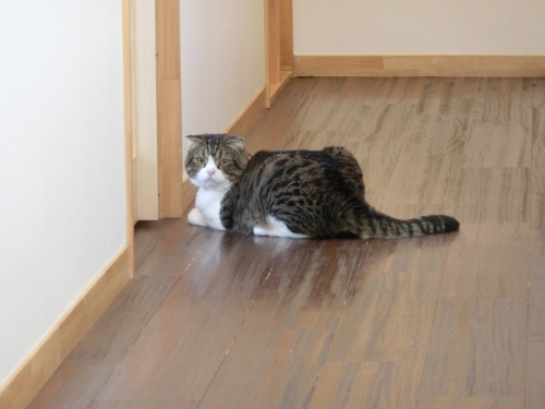 しんねん2