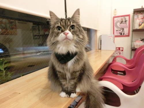 おおみそか
