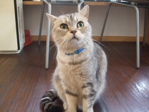 おおみそか