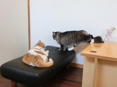 男前の会