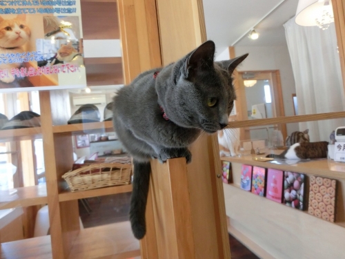 しんねん2