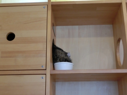 のぞき