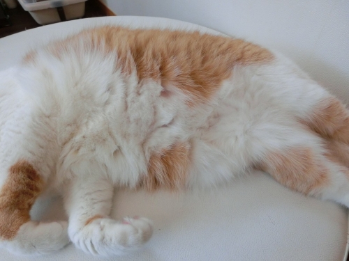 しんねん