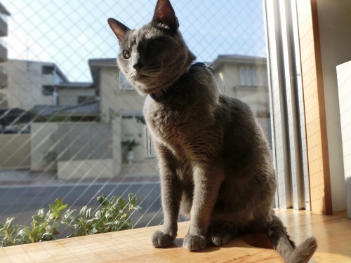 変化