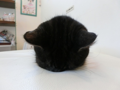 しんねん