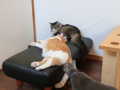 男前の会