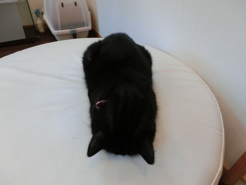 しんねん
