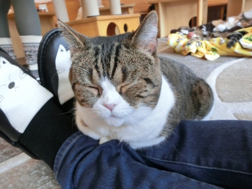 マーブル