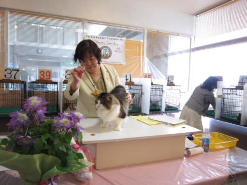 IMG_4696 yuki