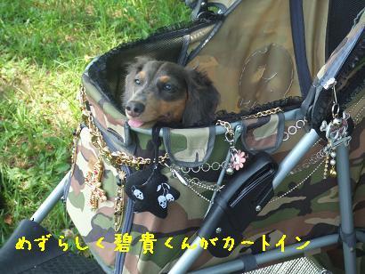 DSCF9655.jpg