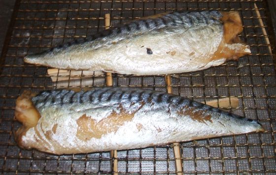 2013kunsei13.jpg