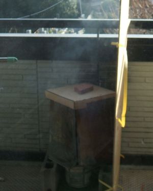 2013kunsei8.jpg