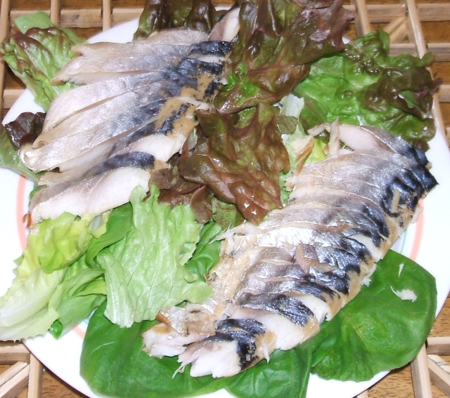 sabamori.jpg