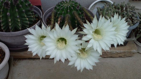 2012071508250000.jpg