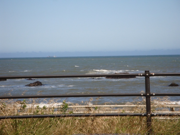 DSC02157.jpg