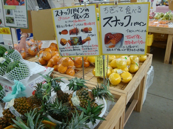 DSC02177.jpg