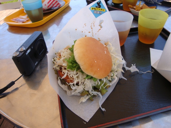DSC02256.jpg
