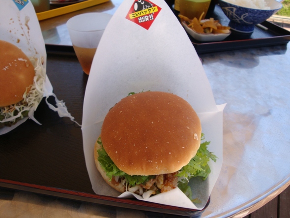 DSC02257.jpg