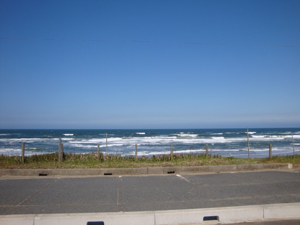 DSC02264.jpg