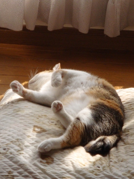 DSC02316.jpg