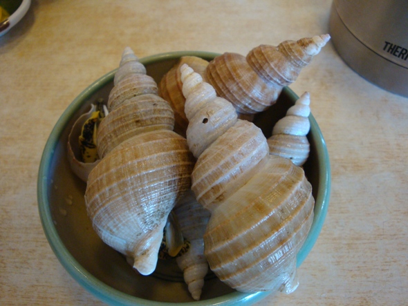 DSC02351.jpg