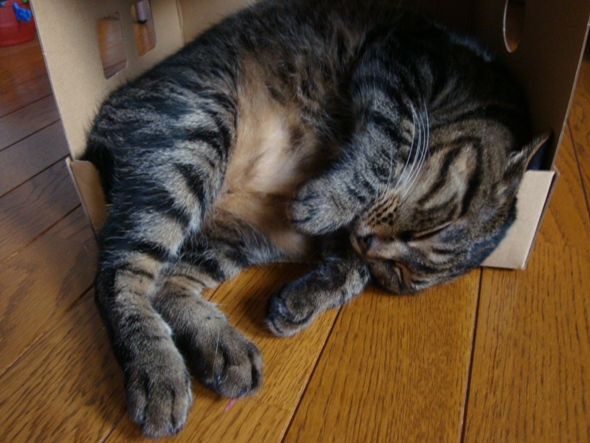 DSC02466.jpg