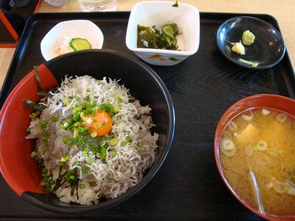 DSC02509.jpg