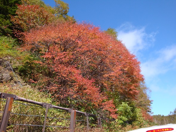 DSC02606.jpg