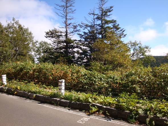 DSC02607.jpg