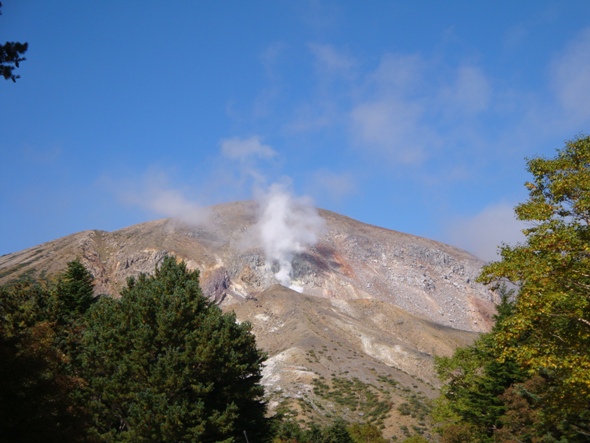 DSC02610-1.jpg