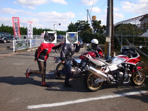 DSC02625-1_20121009223125.jpg