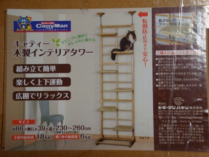 DSC02638.jpg