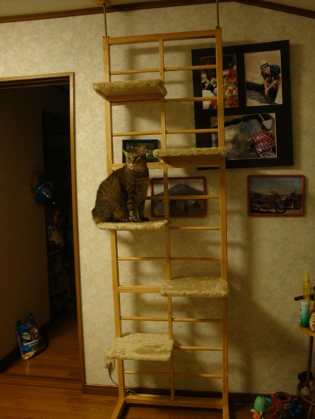 DSC02642.jpg