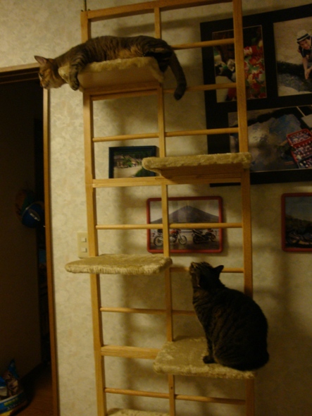 DSC02647.jpg